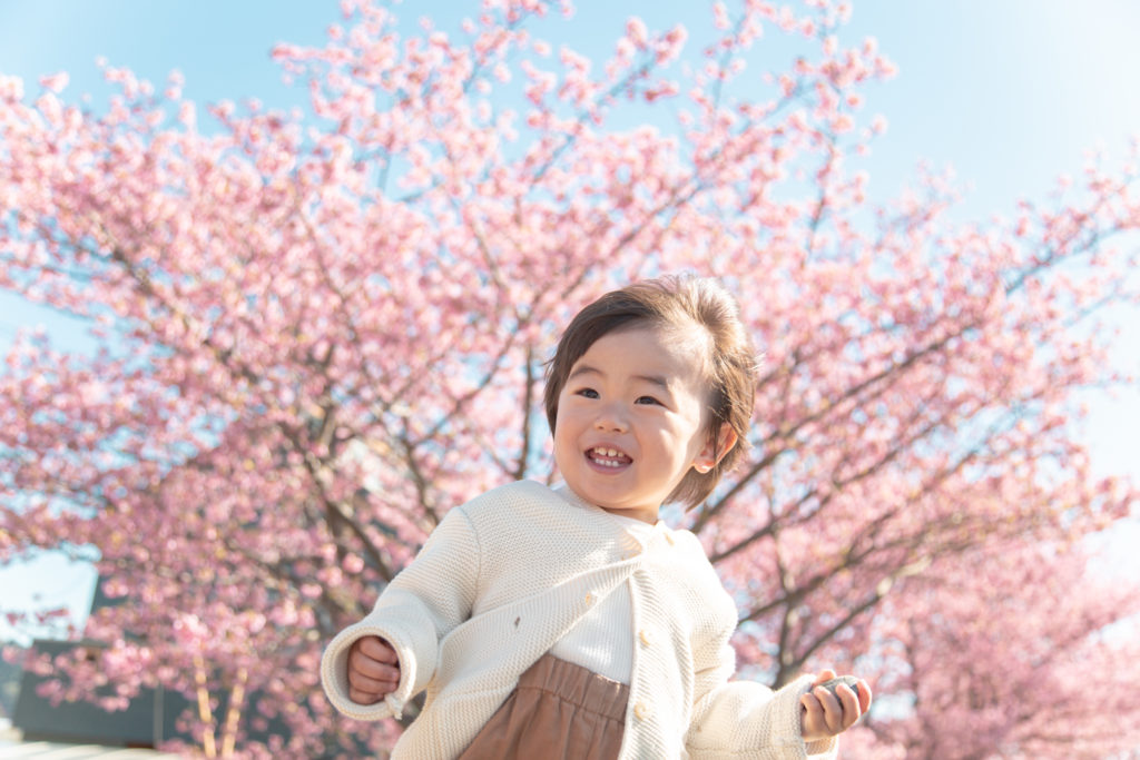 朝比奈川の桜で
