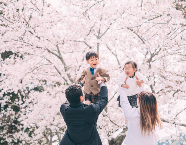 静岡県で桜の撮影会実施します🌸