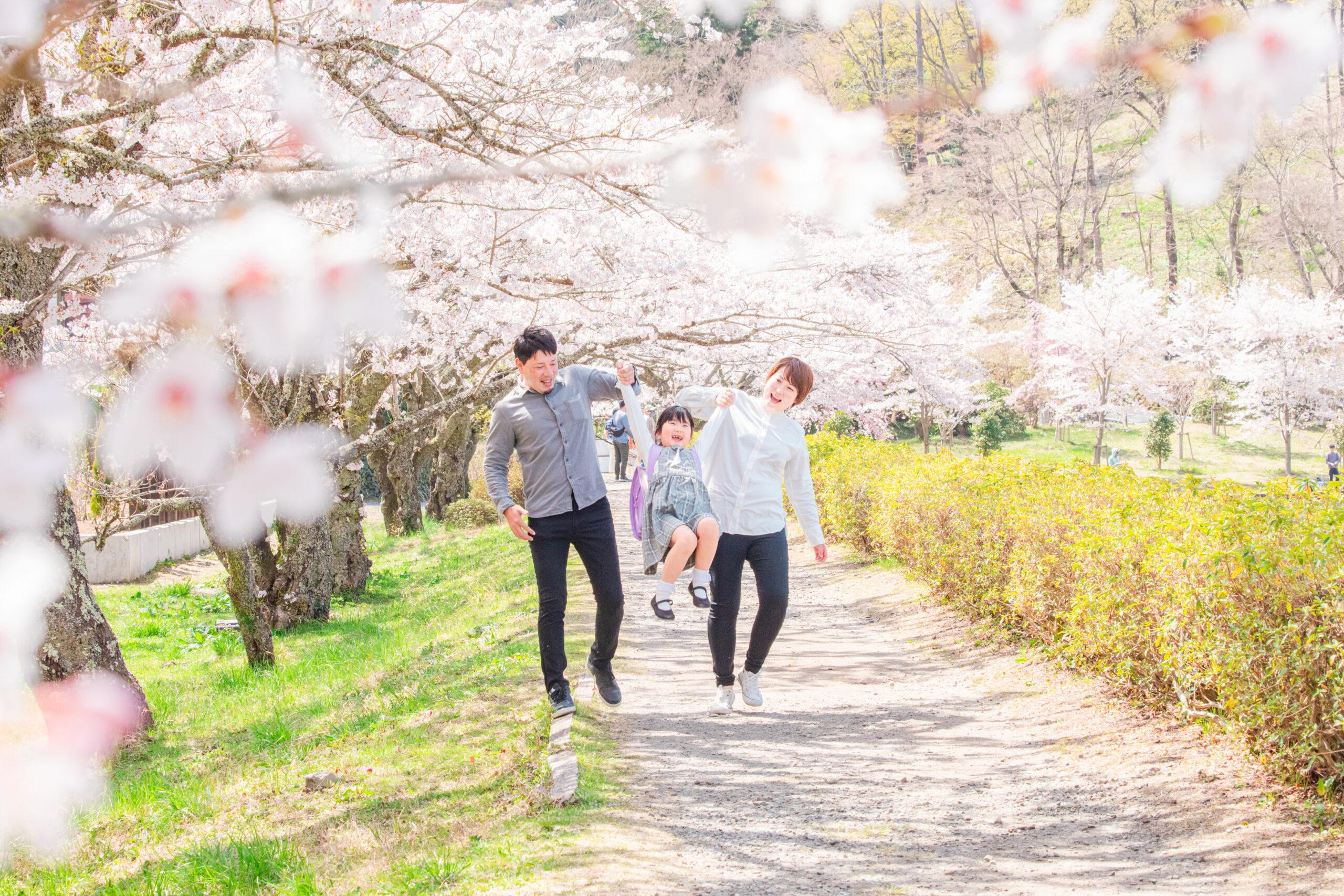 【4月10日】桜の撮影会in御殿場市・裾野市
